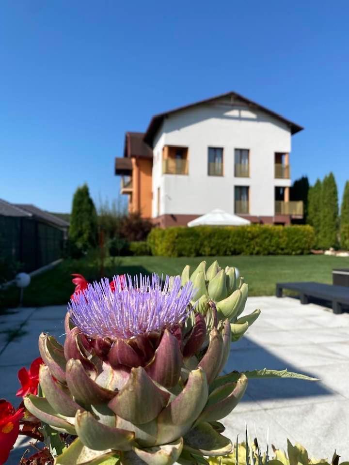 Hanul Conitei Sovata Dış mekan fotoğraf